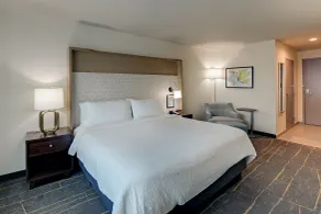 Holiday Inn Mobile Airport by IHG - Chambre