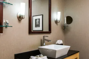 Cambria Hotel Appleton - Badeværelse