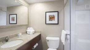 Holiday Inn Cincinnati-Riverfront by IHG - Salle de bain