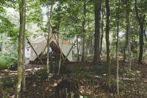Fronterra Wellness Farm & Camp - Chambre