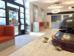 Hotel Dogana - Réception
