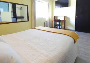 Hotel Plaza - Room