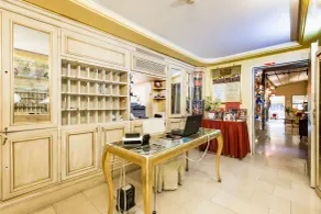Hotel Alcyone - Reception