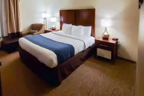 Comfort Inn Oxon Hill - National Harbor - Room