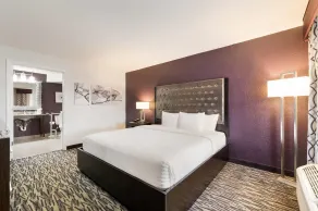 Clarion Inn & Suites Across From Universal Orlando Resort - Chambre