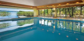 double room standard - Piscine