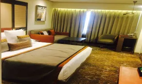Sayaji Indore - Room