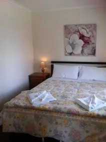 Channel Views - Quarto
