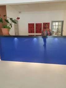 Hotel Arawak Beach Resort - Reception