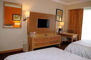 Holiday Inn La Piedad by IHG - Room