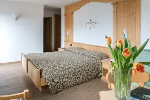 Hotel Alpino - Habitación