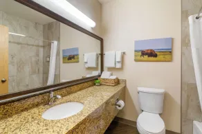 EverSpring Suites - Salle de bain