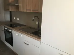 Monteurzimmer Leimen - Privat køkken