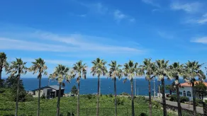 Sea Cliff Hotel Jeju - Vue de la chambre