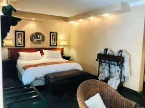 Pretoria Mansion Boutique Hotel Coral Tree - Room