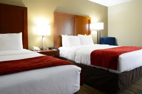 Comfort Inn University Durham - Chapel Hill - Chambre