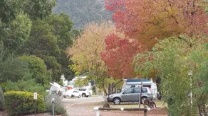 Discovery Parks - Halls Gap - Reception