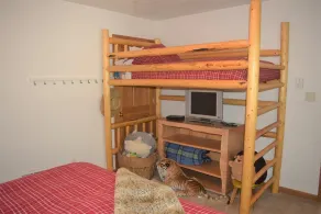 Cougar Cabin - Rom