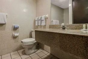 Quality Inn & Suites Binghamton Vestal - Salle de bain