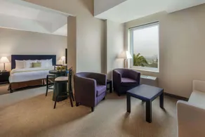 La Quinta by Wyndham Poza Rica - Zimmer