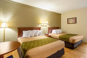 Econo Lodge Lake City-North - Chambre