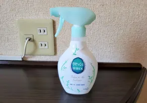 Hamamatsu Hotel - Chambre