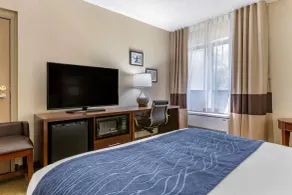 Comfort Inn Near Greenfield Village - Chambre