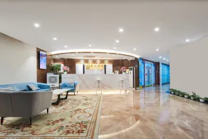Meiyi Grand Hotel Shenzhen Convention & Exhibition Center Huanggangcun Metro Station Branch - Reception