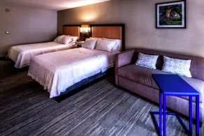 Hampton Inn & Suites Staten Island - Room