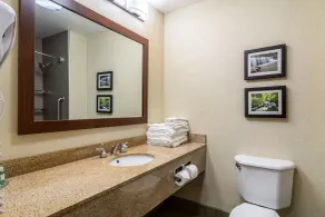 Comfort Inn & Suites - Hannibal - Chambre
