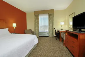 Hampton Inn & Suites Buffalo - Rum