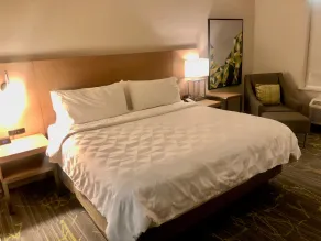 Holiday Inn & Suites Houston NW - Vintage Park Area by IHG - Chambre