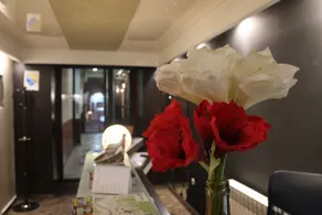 Hotel Sokak - Recepción