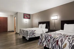 Red Roof Inn Hartford- New Britain - Room