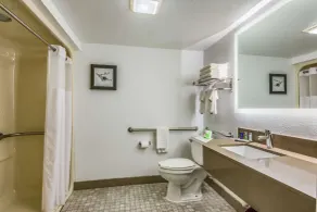 Sleep Inn Fort Mill near Carowinds Blvd - Salle de bain