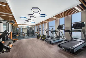 Holiday Inn Chongqing Shuangfu, an IHG Hotel - Treningsfasiliteter
