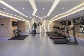Grand Skylight Hotel Yueyang - Fitness facility