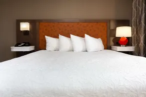 Hampton Inn Kingsport - Chambre