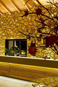 Pliadon Gi Mountain Resort & Spa - Resepsjon
