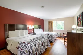 Red Roof Inn San Marcos - Room