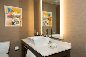 Cambria Hotel Plano - Frisco - Salle de bain