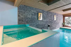 Alp'Hotel - Piscina