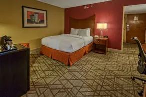 DoubleTree by Hilton Hotel Oak Ridge - Knoxville - Chambre