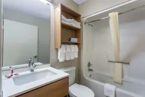 Microtel Inn & Suites by Wyndham Matthews/Charlotte - Salle de bain
