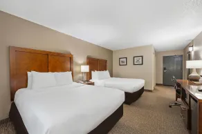 Comfort Inn Fort Myers Northeast - Værelse