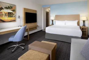 Embassy Suites by Hilton Tampa Airport Westshore - Værelse