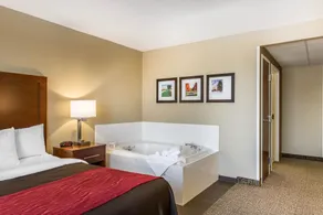Comfort Inn Frederick - Ballenger Creek - Chambre
