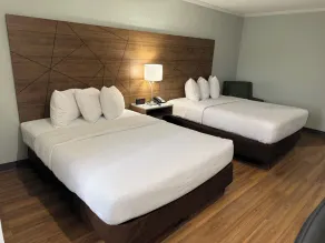 Wingate by Wyndham Livonia - Rom
