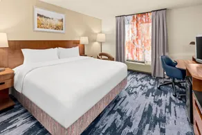 Fairfield Inn & Suites by Marriott San Antonio Downtown/Market Square - Chambre