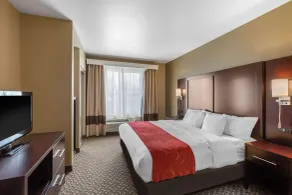 Comfort Suites Seaford - Chambre